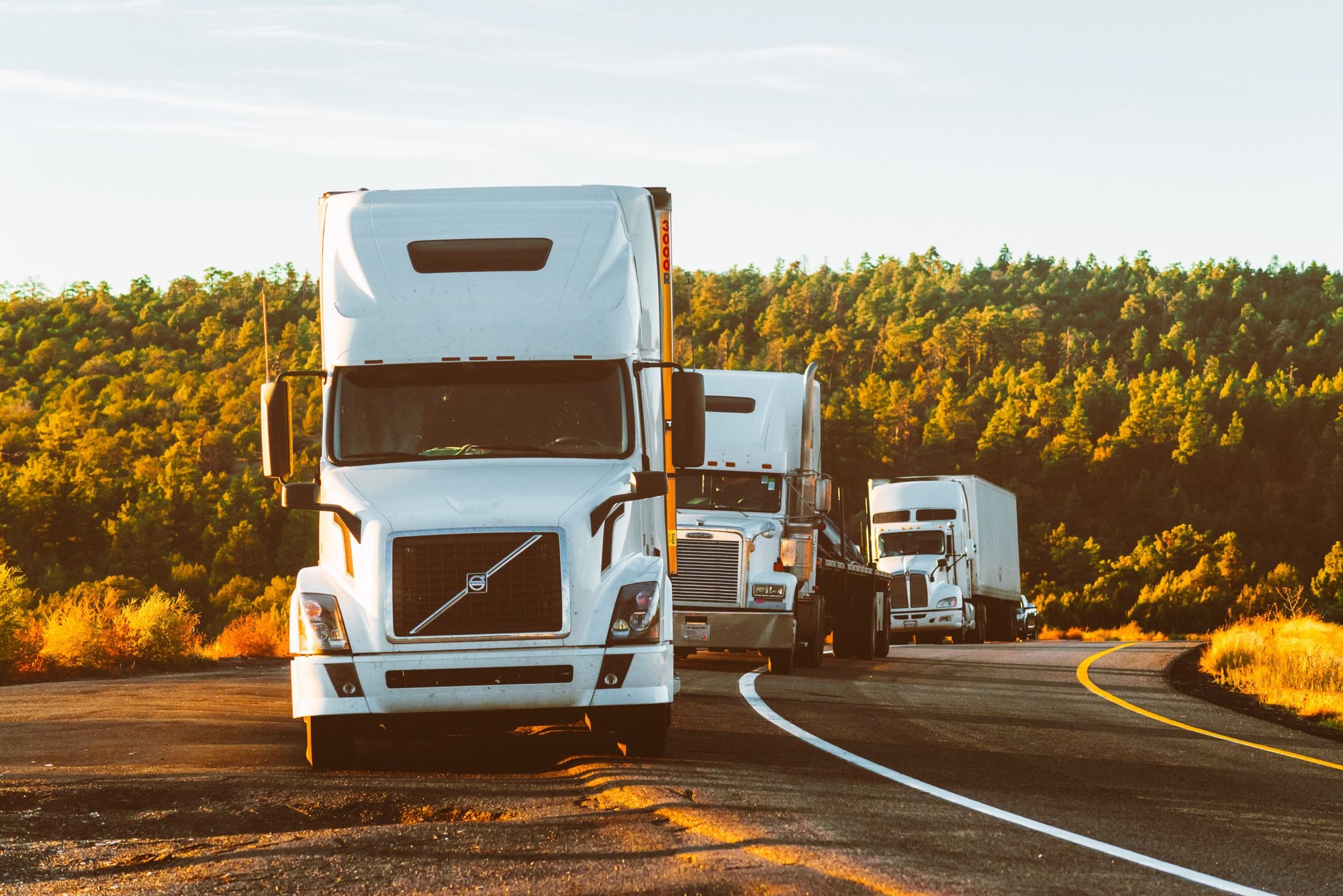 Conventional American semi trucks travelling along a tree-lined highway